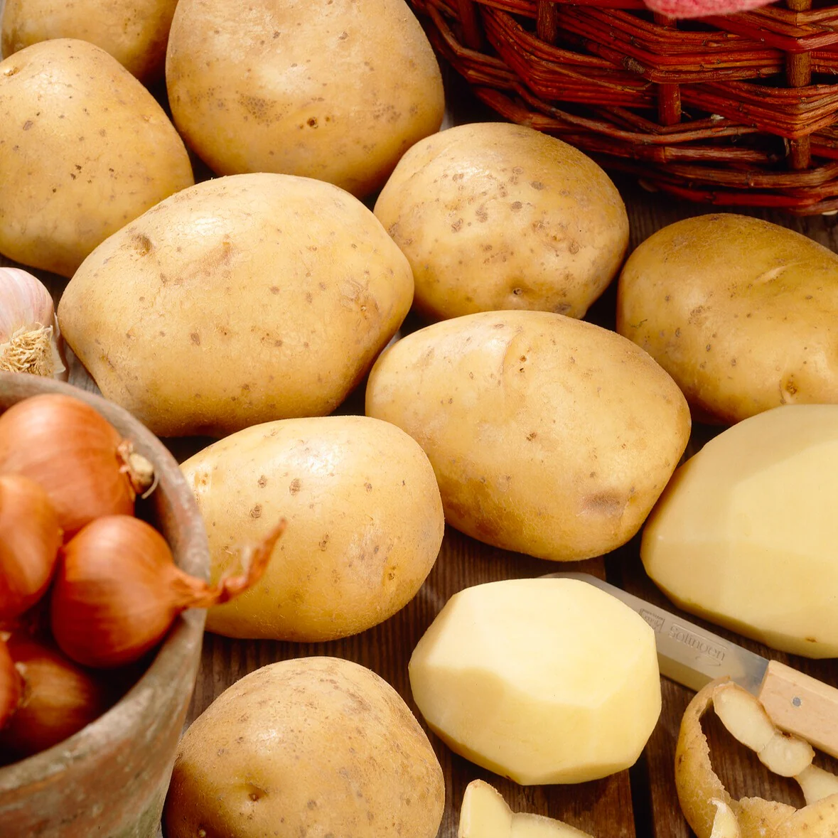 Aardappel 'Bindje' - Image 3