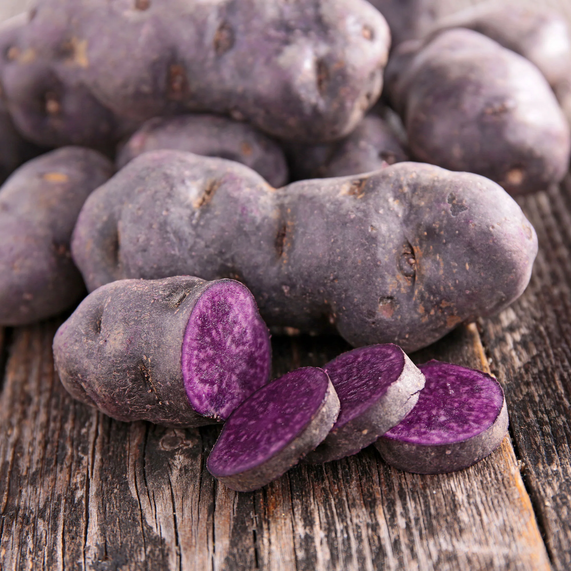 Aardappel 'Ulysse' - BIO