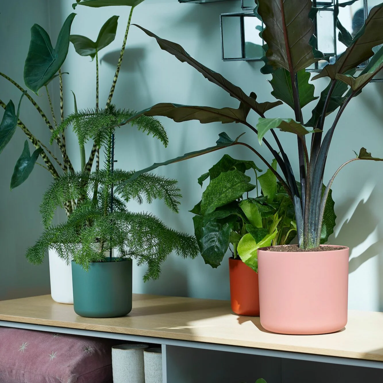 Bloempot B voor soft rond roze ELHO - Image 4