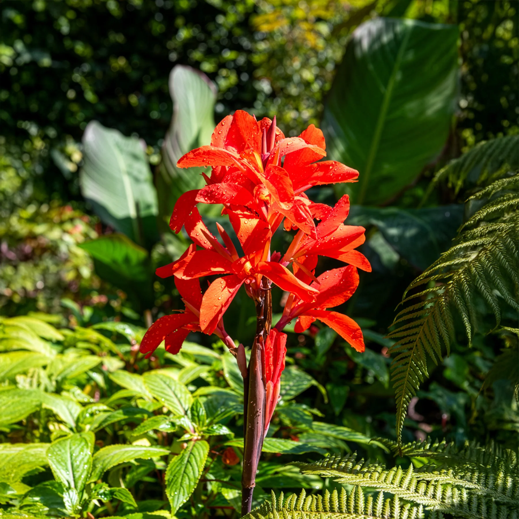 Bloemriet