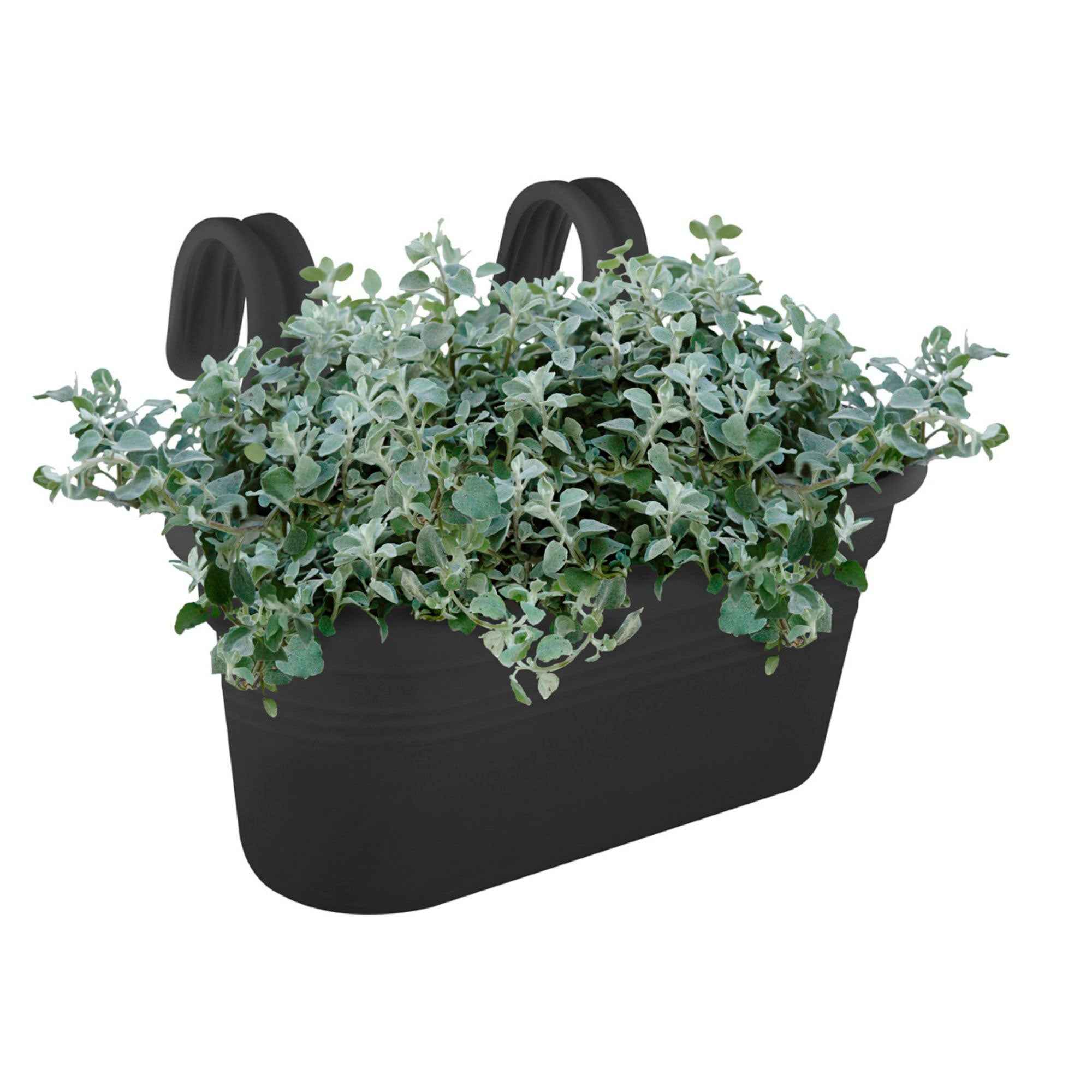 Elho Balkonbak Green Basics easy hanger ovaal - zwart - Image 3