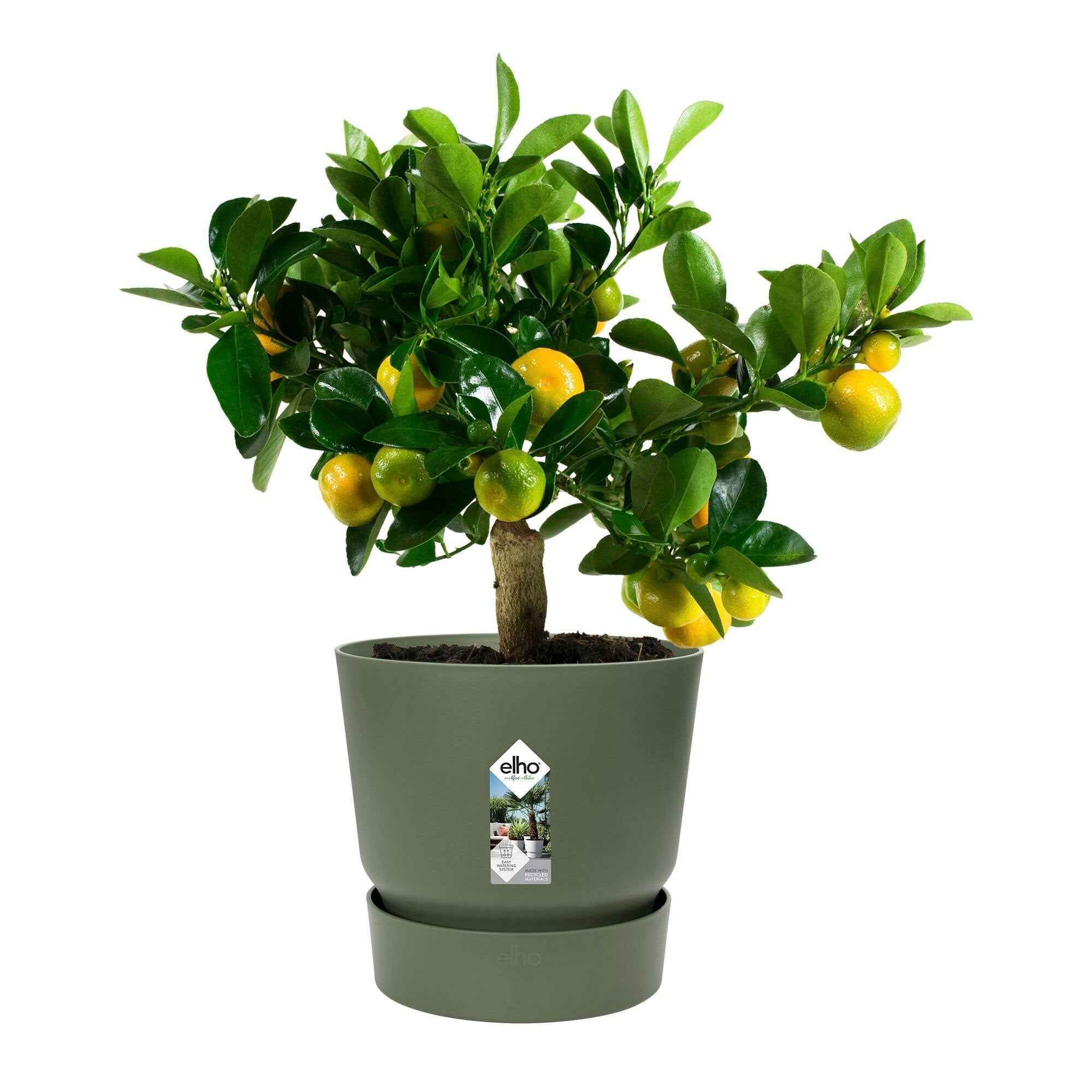 Bloempot Elho greenville bladgroen - Image 4
