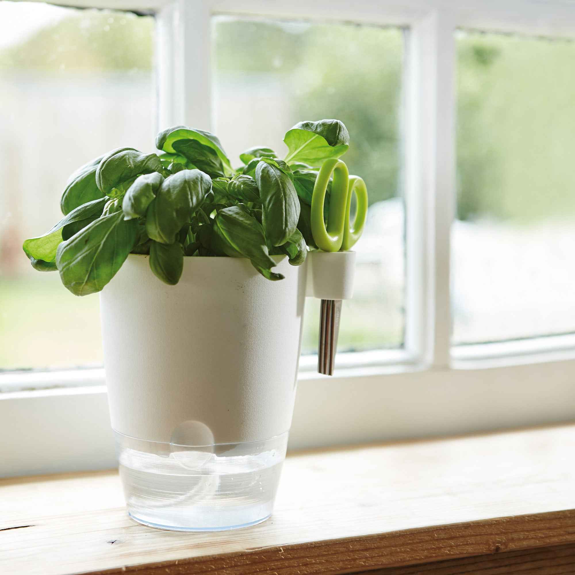 Elho kruidenpot Brussels Herbs all-in-1