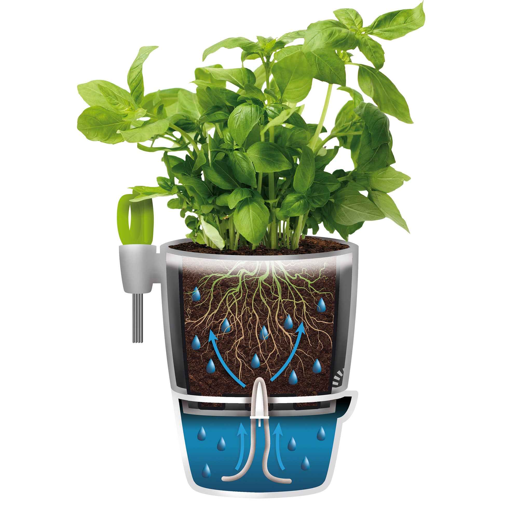 Elho kruidenpot Brussels Herbs all-in-1 - Image 2