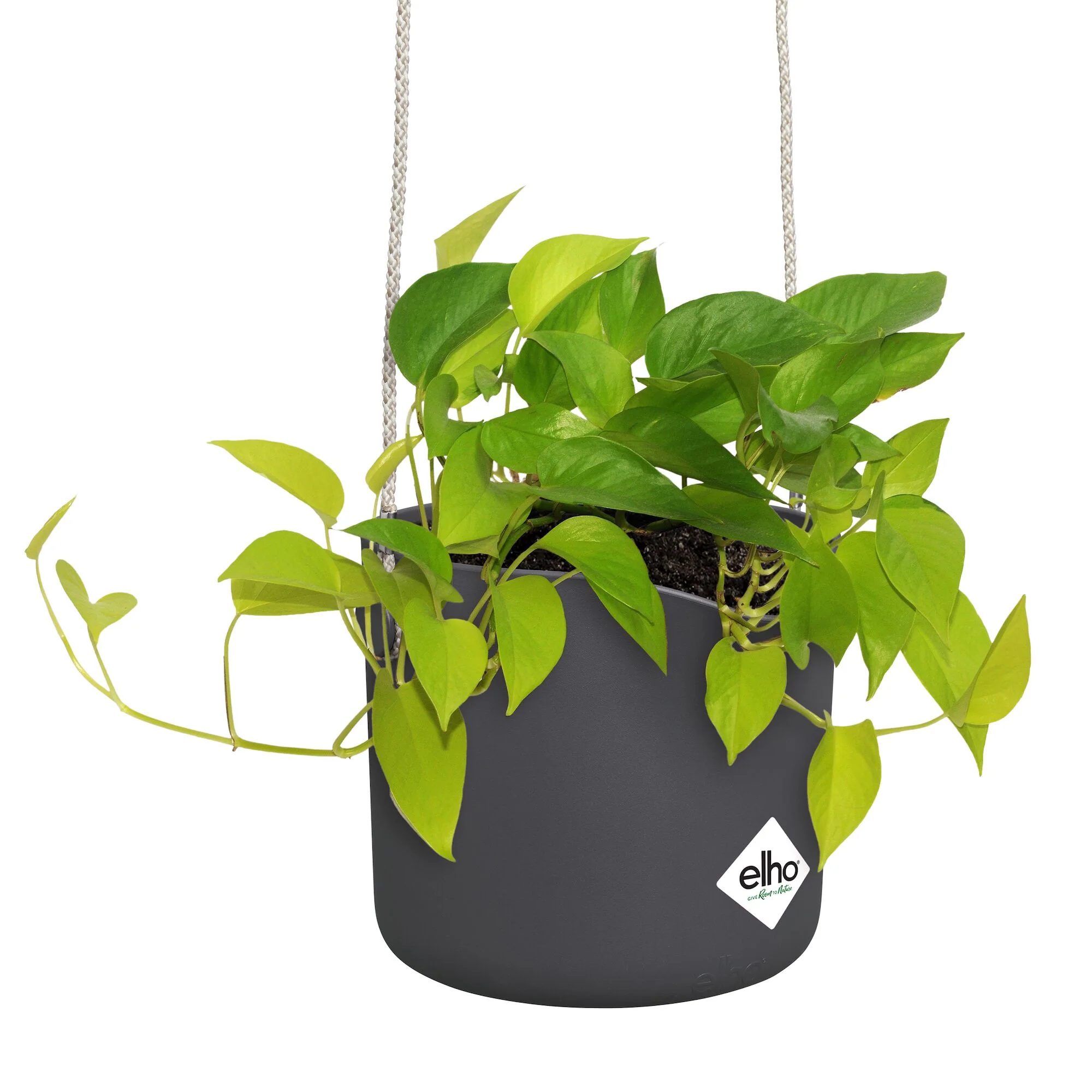 Hangpot B voor swing grijs ELHO - Image 6