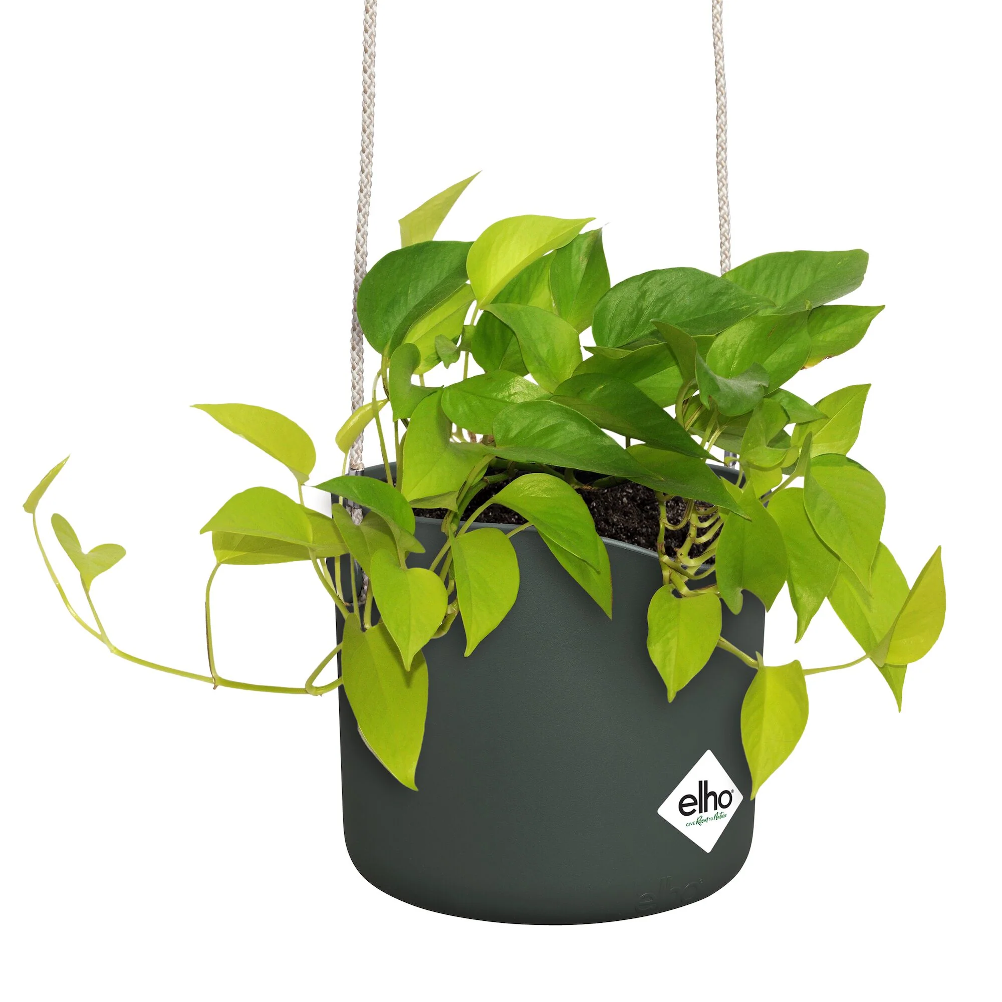 Hangpot B voor swing groen ELHO - Image 6
