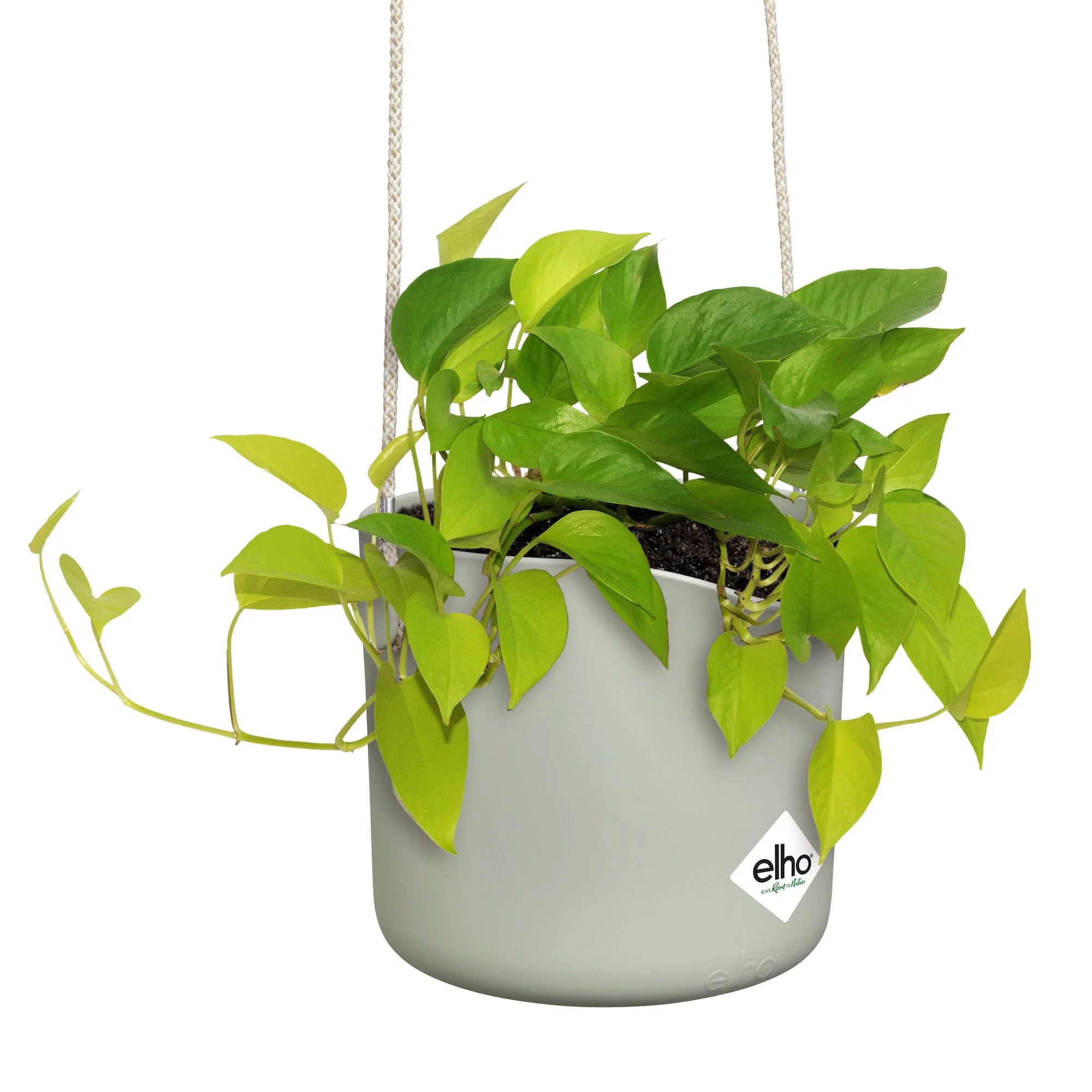 Hangpot B voor swing lichtgroen ELHO - Image 6
