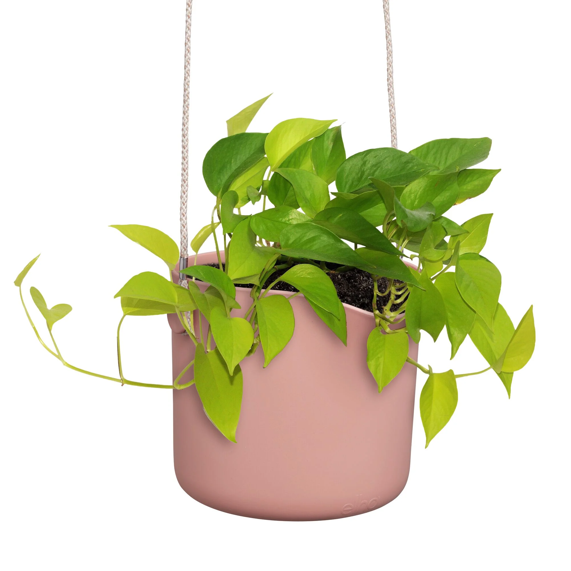 Hangpot B voor swing roze ELHO - Image 6