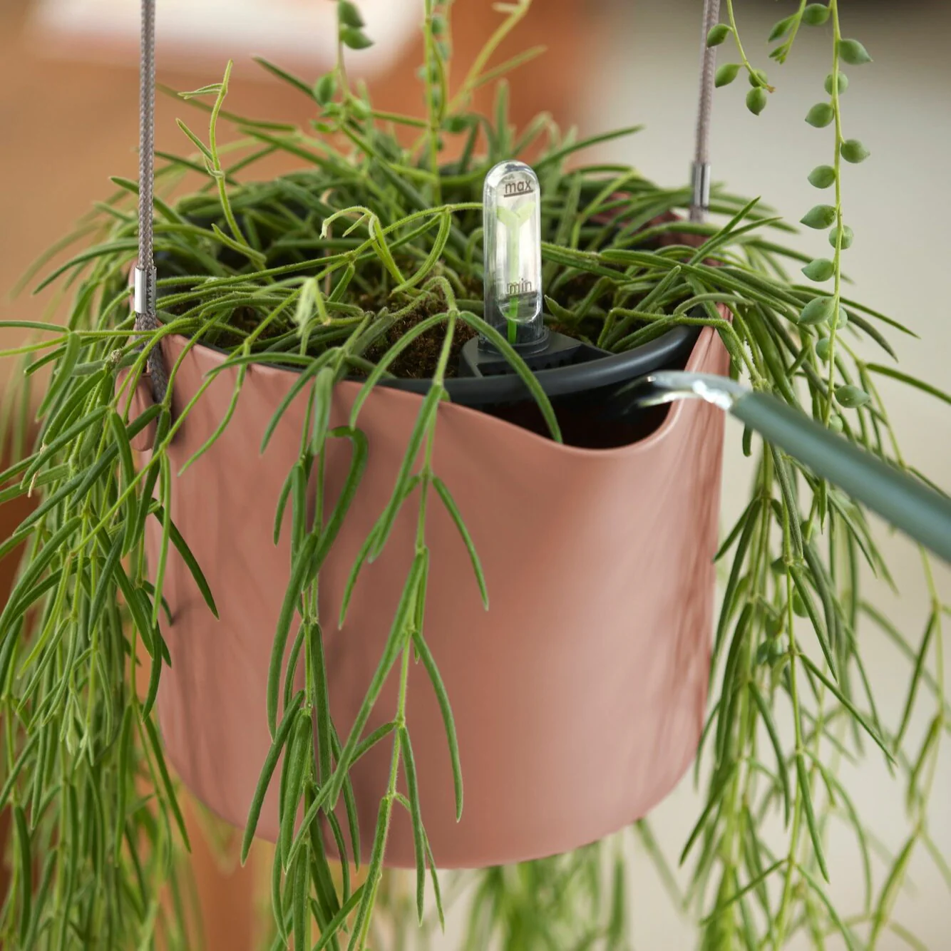 Hangpot B voor swing roze ELHO - Image 7
