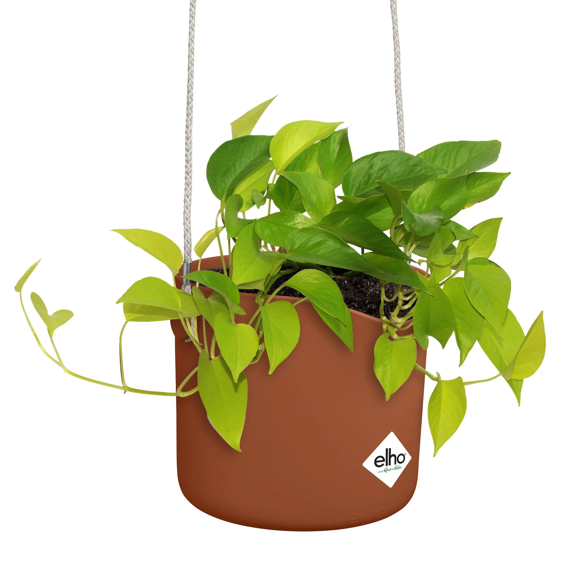 Hangpot B voor swing terracotta ELHO - Image 5