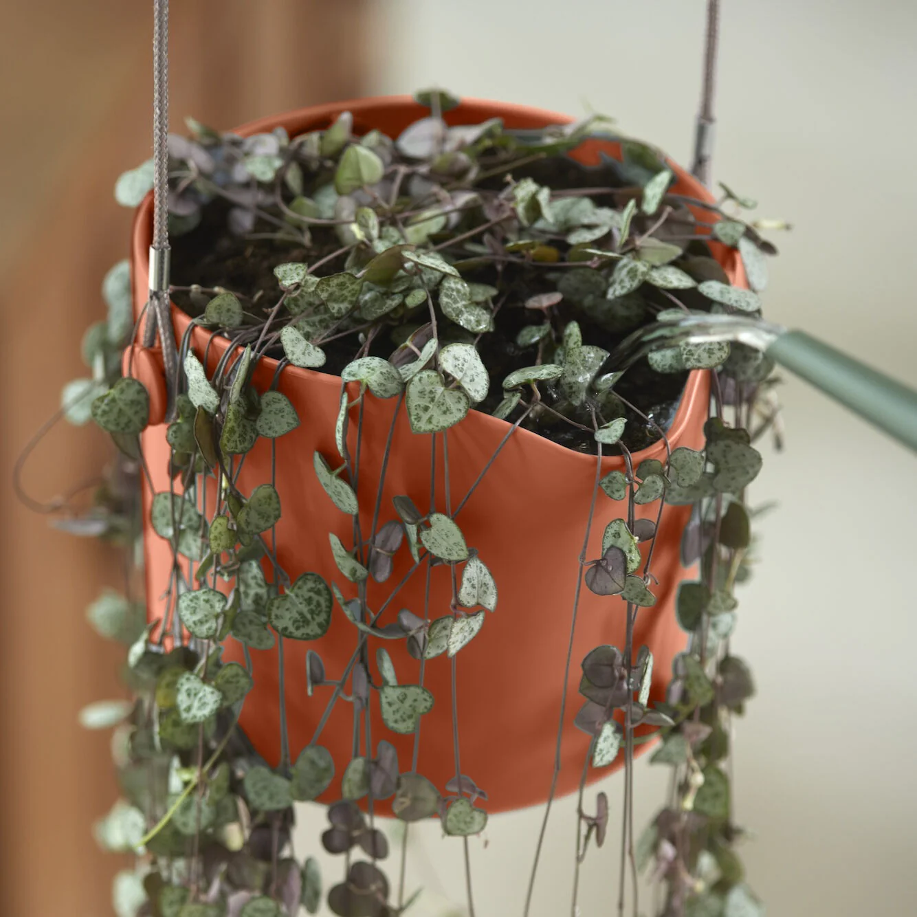 Hangpot B voor swing terracotta ELHO - Image 7