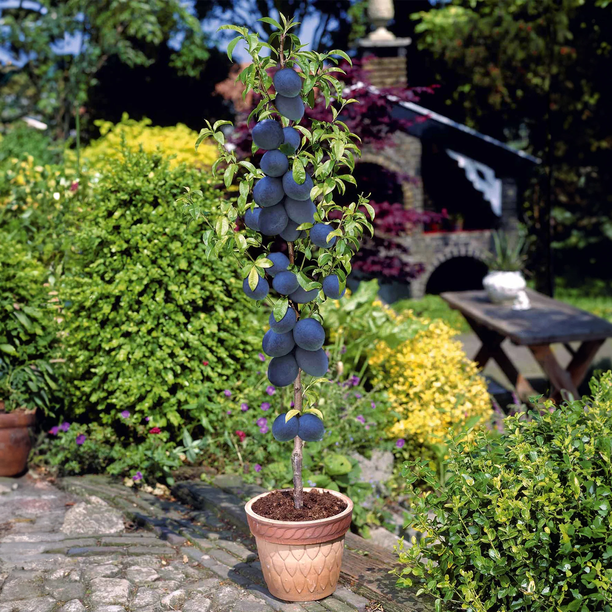 Miniatuur 2