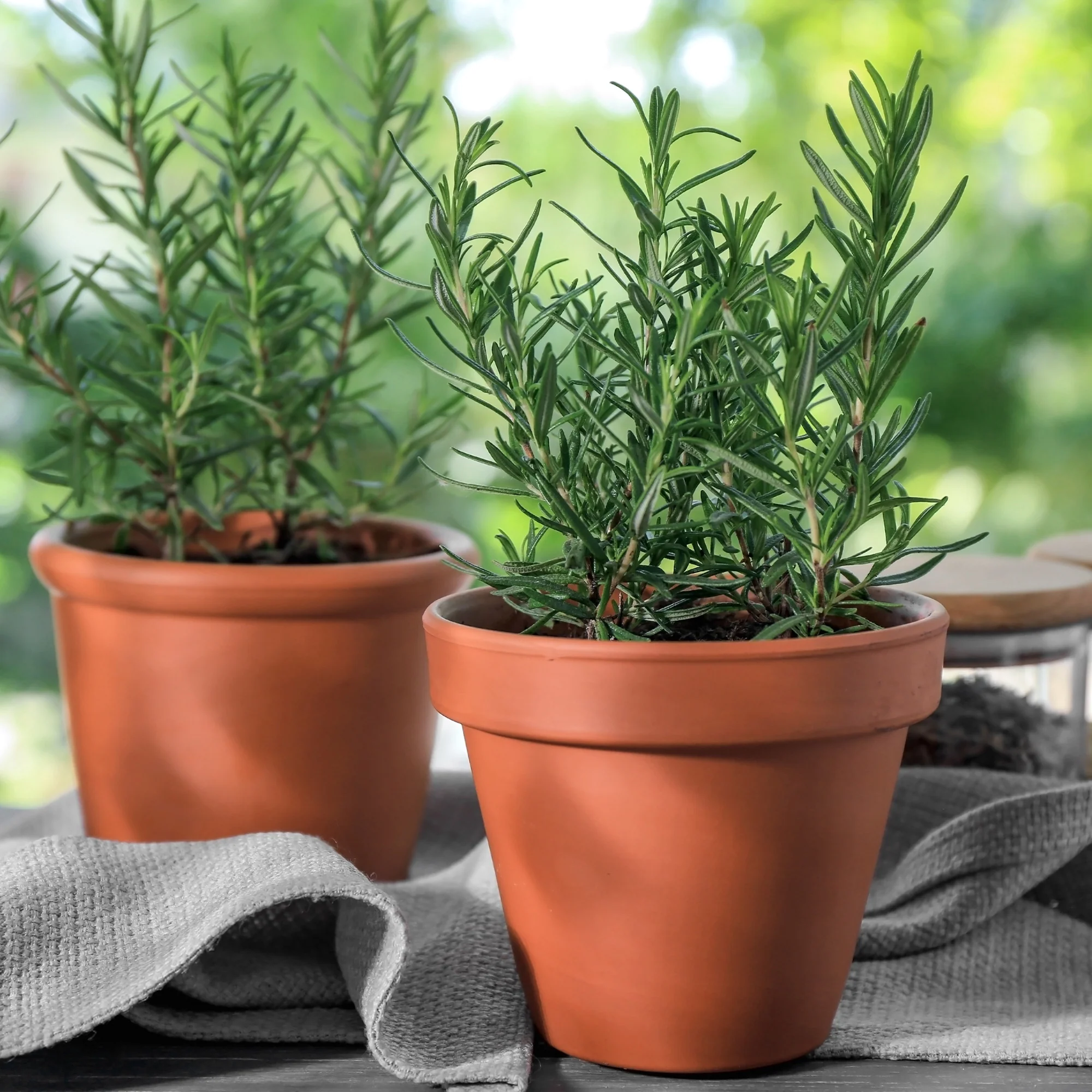 Miniatuur 2