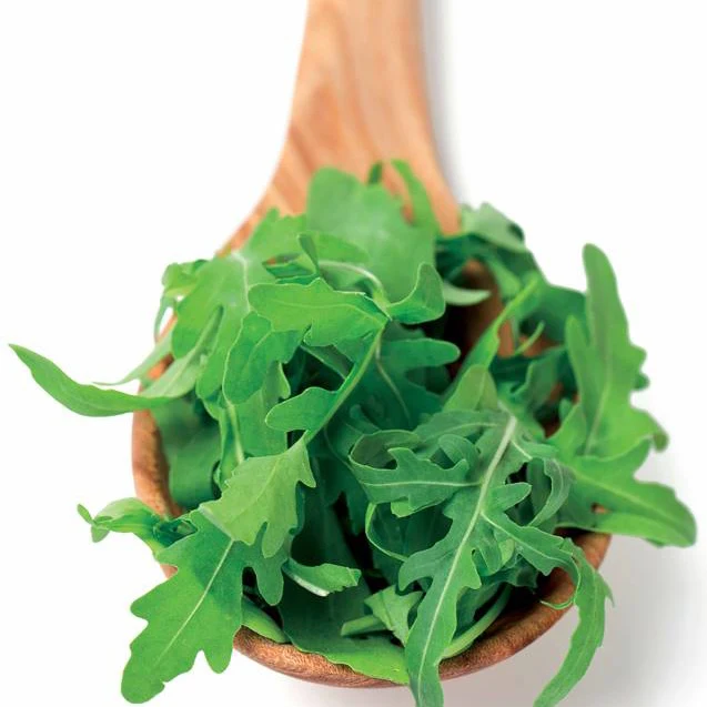 Rucola - BIO - Image 2