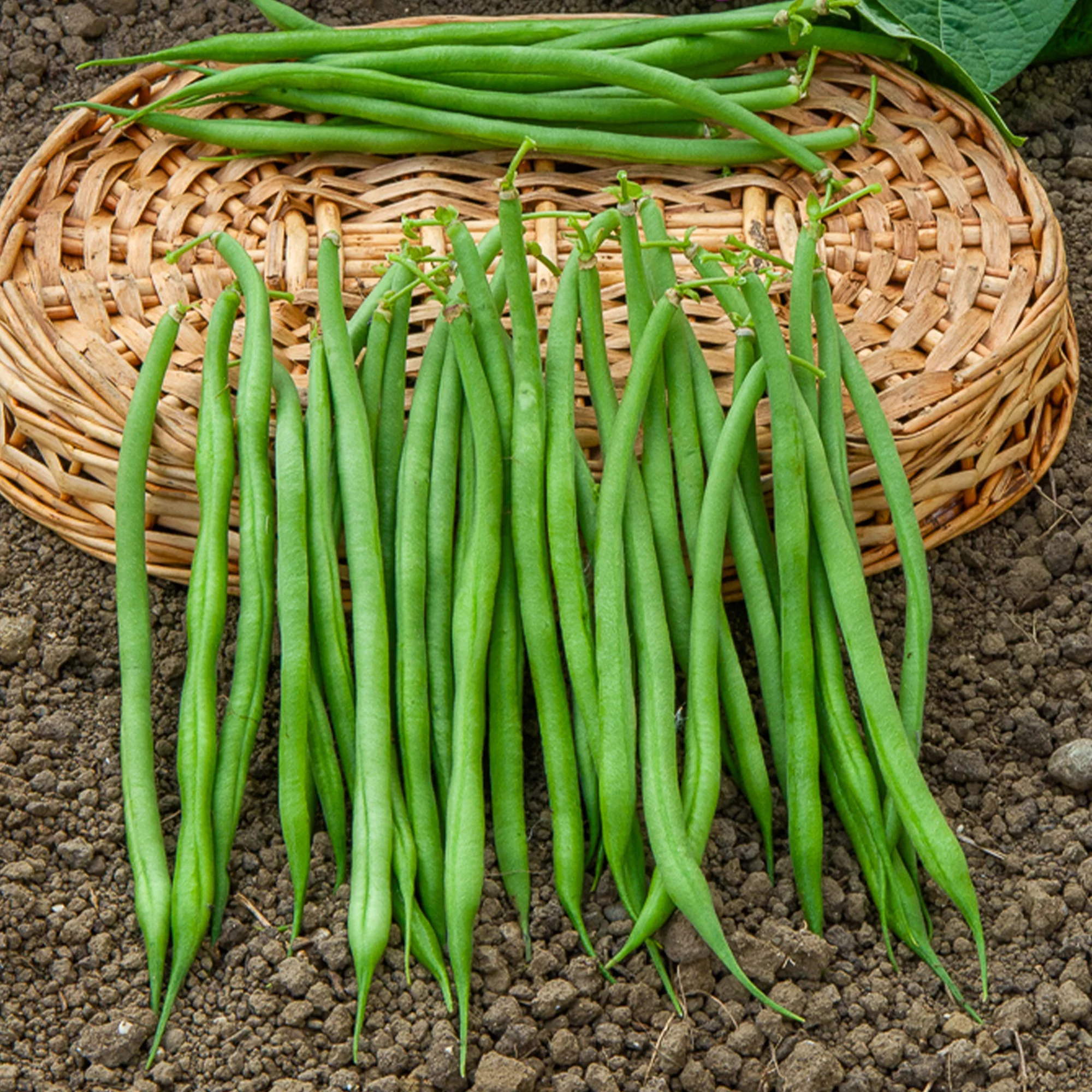 Sperziebonen Mix - Image 3
