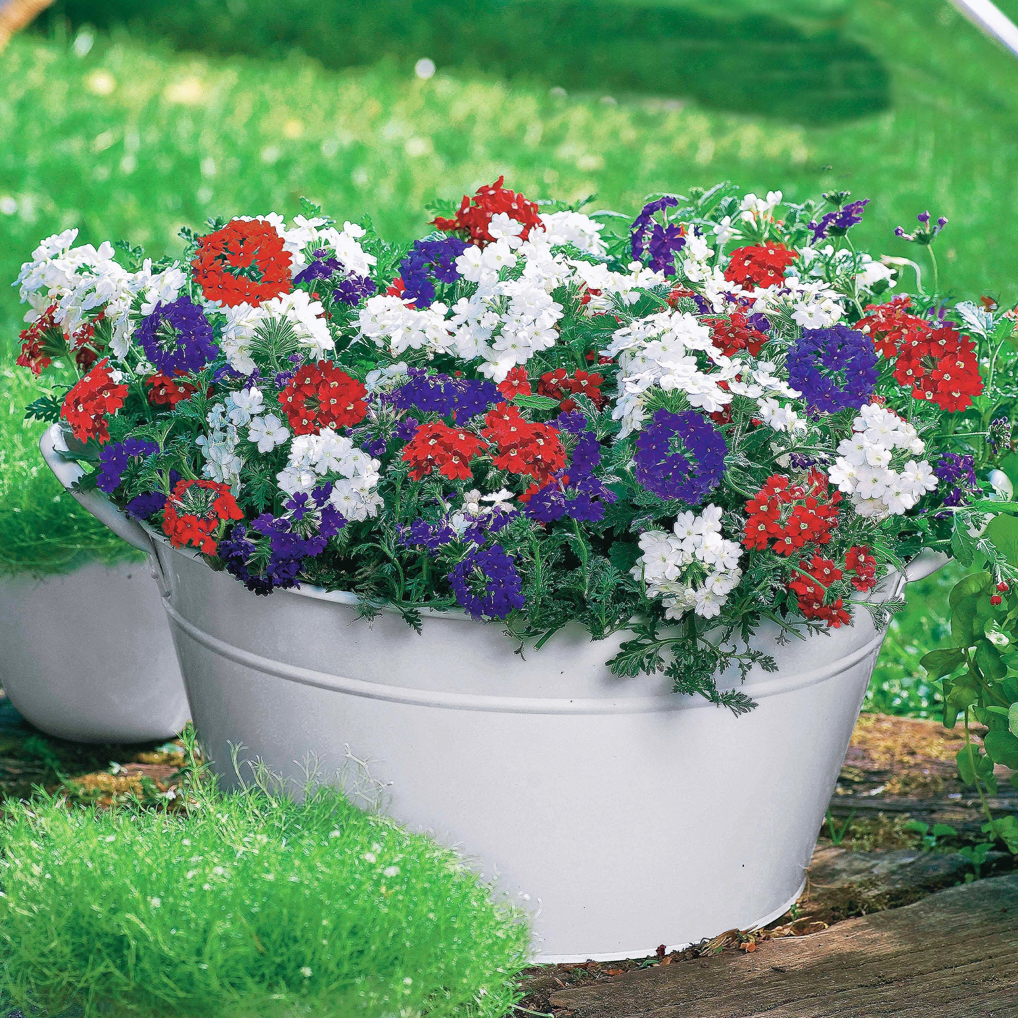 Miniatuur 2
