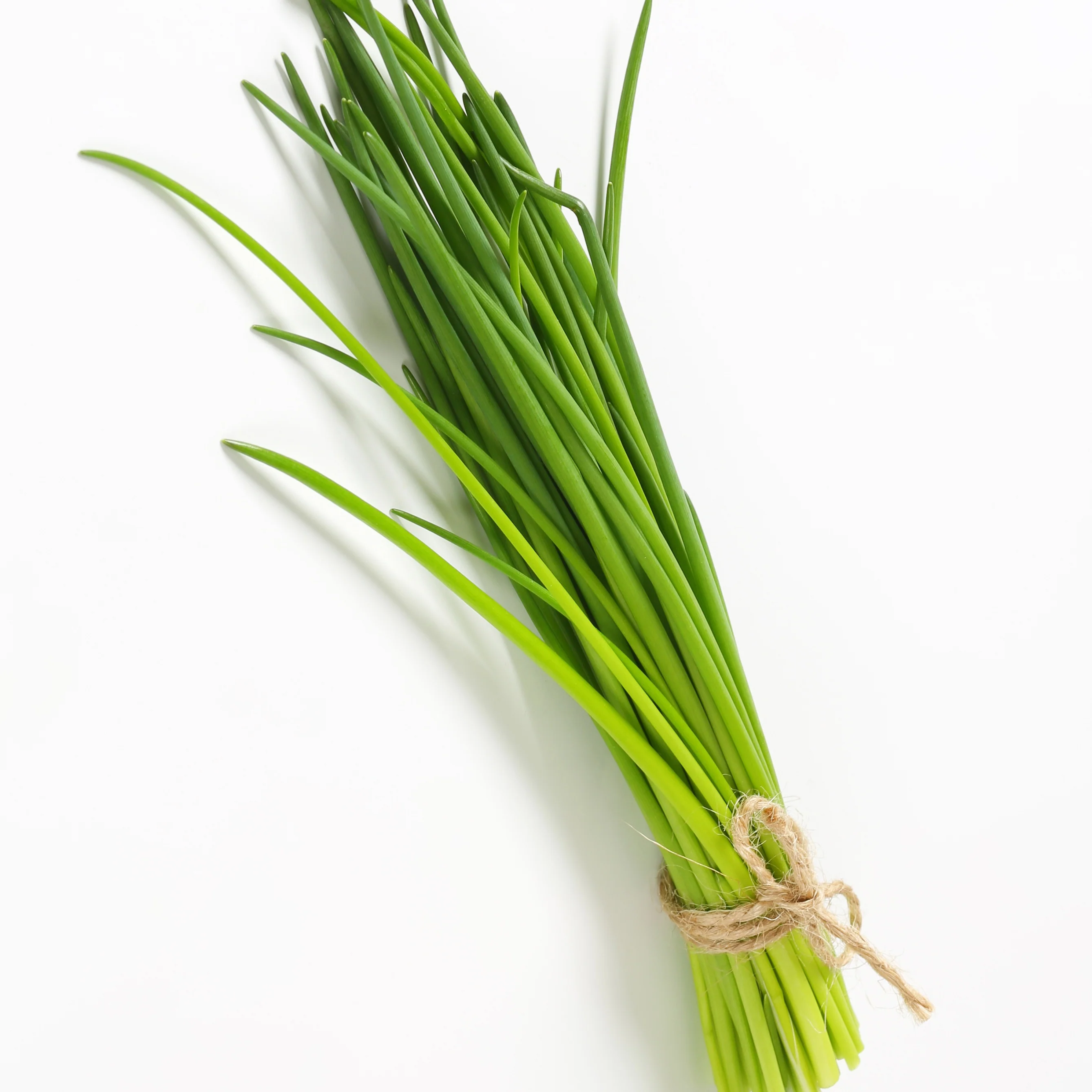 Verzameling van aromatische planten (x4) - Image 4