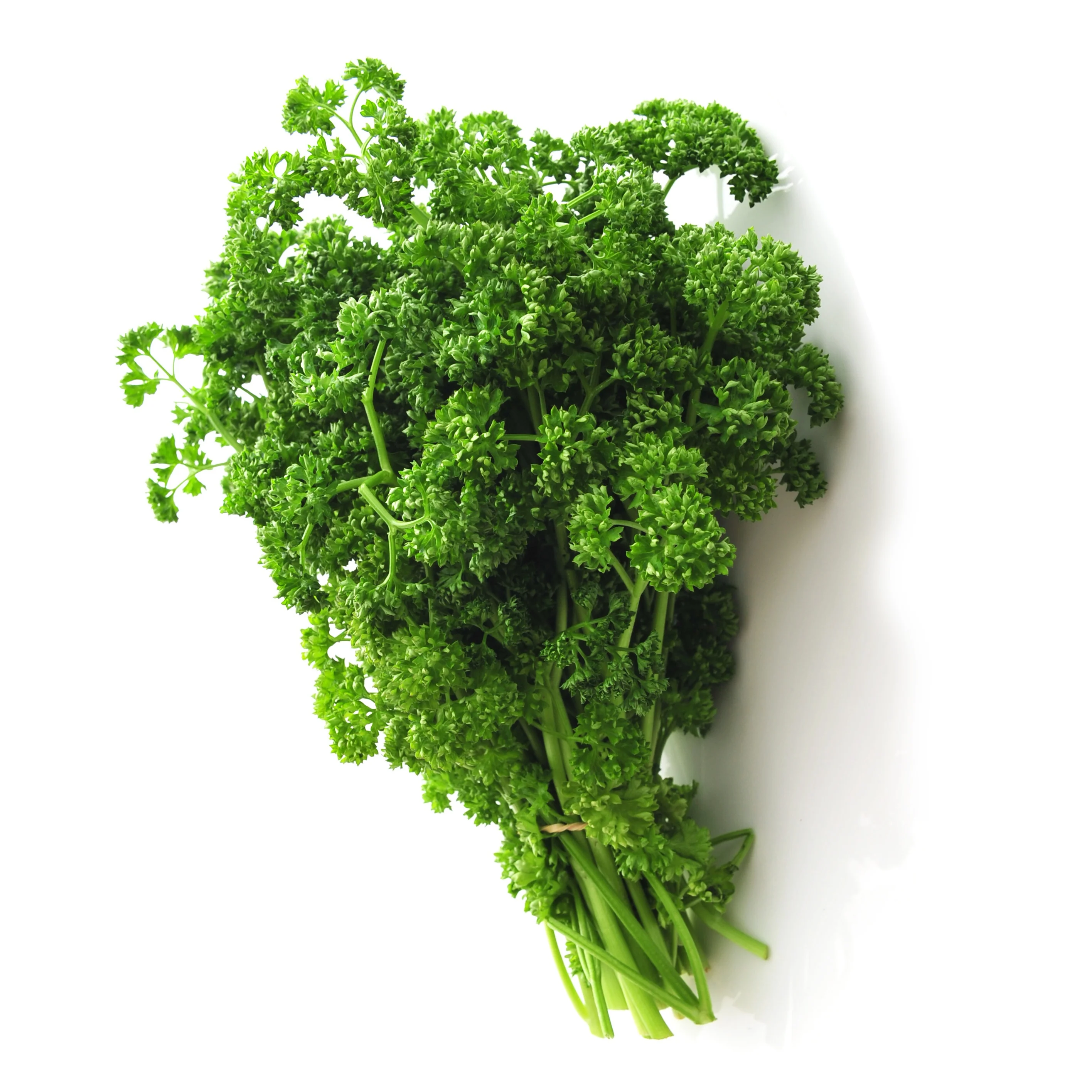 Verzameling van aromatische planten (x4) - Image 5