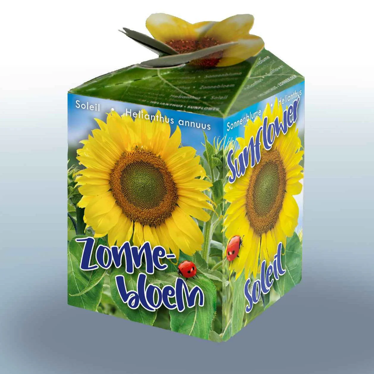 Zonnebloem Kit